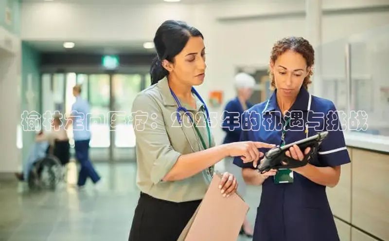 龙八国际app官方下载
